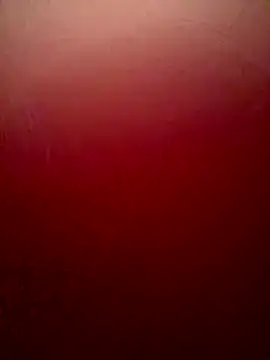 Snapshot of sweetAli_ chatting on 10.04.25 sweetAli online show from 10.04.25