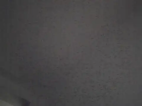 Snapshot of FallenDevil chatting on 10.04.25 FallenDevil online show from 10.04.25