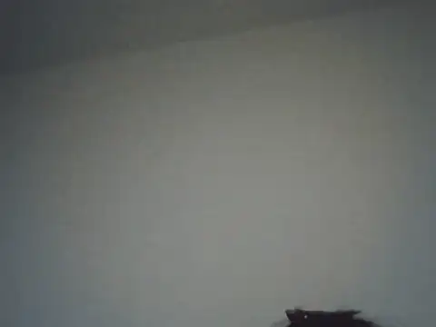 Snapshot of FallenDevil chatting on 11.16.25 FallenDevil online show from 11.16.25