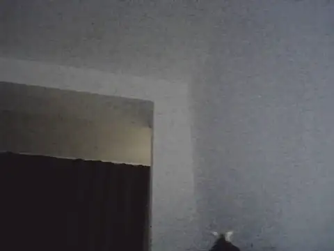 Snapshot of FallenDevil chatting on 03.13.26 FallenDevil online show from 03.13.26