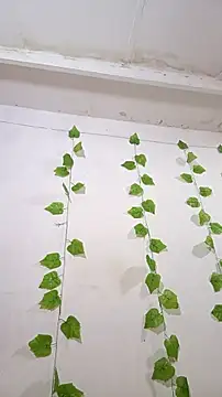 Snapshot of shayna_all chatting on 11.25.25 shayna all online show from 11.25.25