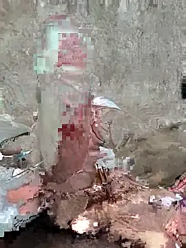 Tharki boys online show from 10.01.25