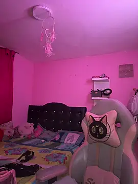 Snapshot of stassie_ chatting on 01.23.25 stassie  online show from 01.23.25