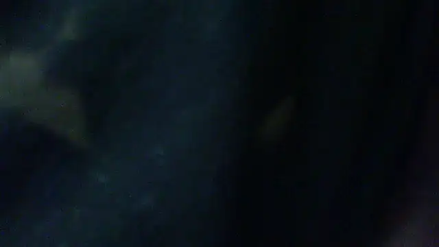 Billywax online show from 02.02.26