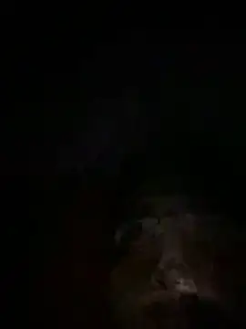 Eslam222s online show from 03.14.26