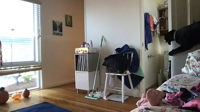 HYPHYtype online show from 10.17.25