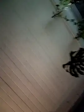 Snapshot of Nikkierosee chatting on 12.14.24 Nikkierosee online show from 12.14.24