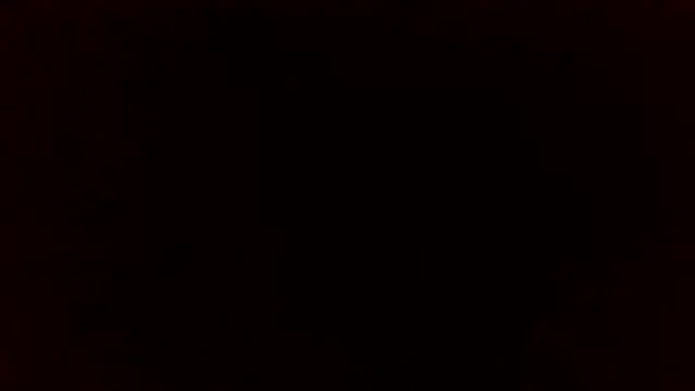 Star-Night online show from 04.06.26