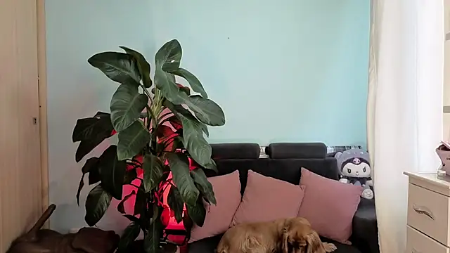 melisa es online show from 02.05.26