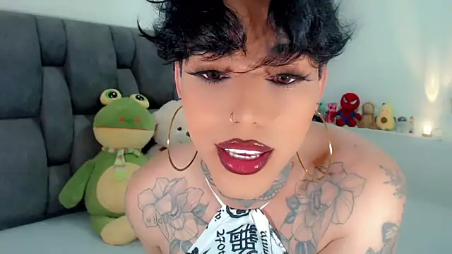 little star porn online show from 11.09.25