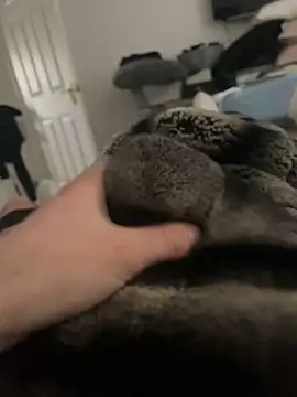 Snapshot of Furdale chatting on 02.16.25 Furdale online show from 02.16.25