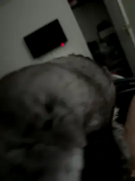 Snapshot of Furdale chatting on 10.02.25 Furdale online show from 10.02.25