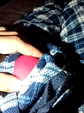 rodovlaz online show from 02.04.26