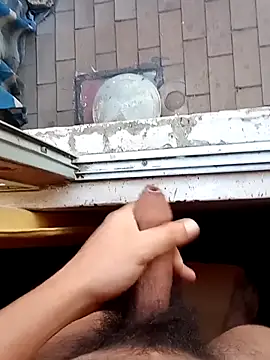 rodovlaz online show from 02.20.26