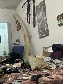 raphadoors19 online show from 12.20.25