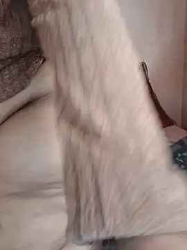 iamSunflower900 online show from 06.04.26