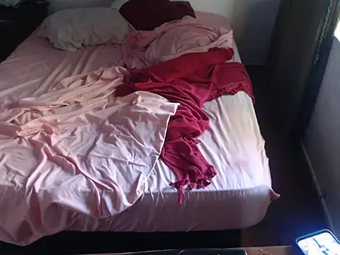 Snapshot of deftoolceles chatting on 02.25.26 deftoolceles online show from 02.25.26