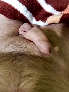 Snapshot of Robertvirt chatting on 02.16.26 Robertvirt online show from 02.16.26