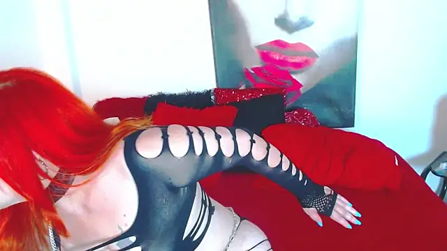 dairia meraky online show from 05.08.26