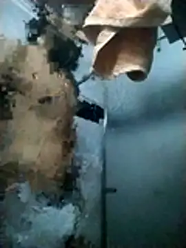 Pziko online show from 01.07.26