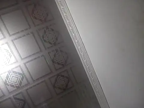 PlanetalMilk online show from 04.25.26