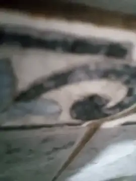 Junior013R online show from 09.17.25