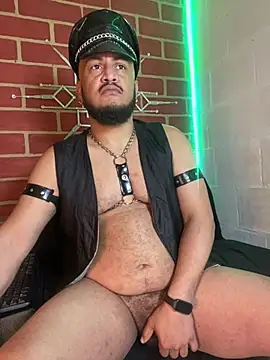 the master foal  online show from 02.10.26