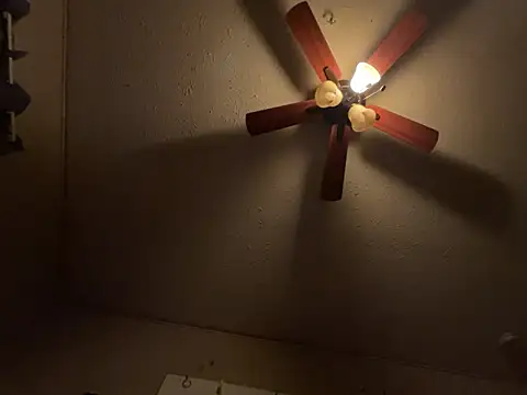 jck1m0t online show from 03.03.26