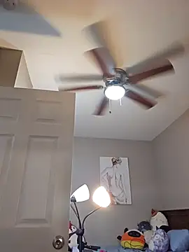 Snapshot of AmethystFoxx chatting on 03.10.25 AmethystFoxx online show from 03.10.25