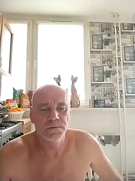 wilkalfa online show from 11.11.25