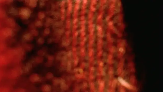 rockhead1971 online show from 10.18.25