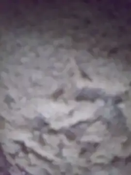 Snapshot of king-lobo-act chatting on 10.29.25 king-lobo-act online show from 10.29.25