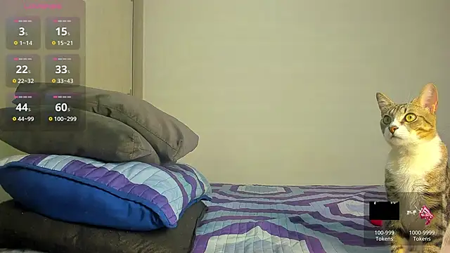 Snapshot of caroline_tovar chatting on 11.29.25 caroline tovar online show from 11.29.25