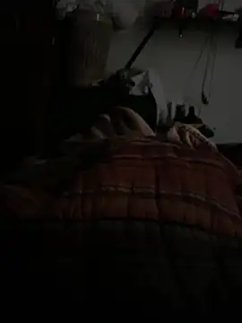 simonovic online show from 02.24.26