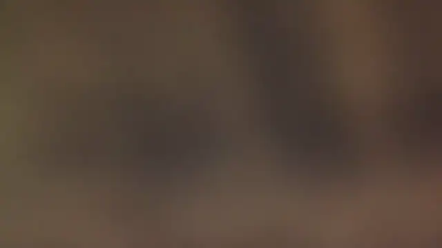 leccaleccafiga online show from 03.07.26