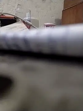 landy20cm online show from 02.08.26