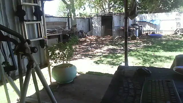 herbie010666 online show from 12.02.25