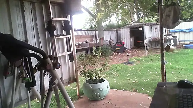 Snapshot of herbie010666 chatting on 02.03.26 herbie010666 online show from 02.03.26