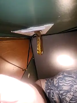 Loosegoose90 online show from 02.27.26