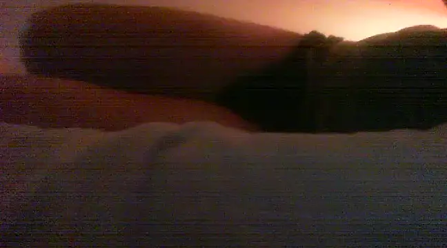 Snapshot of patrasdick94 chatting on 02.13.25 patrasdick94 online show from 02.13.25