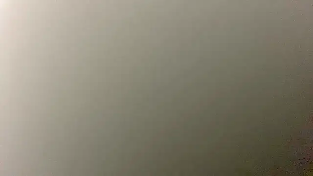 Pussy hunter225 online show from 12.02.25