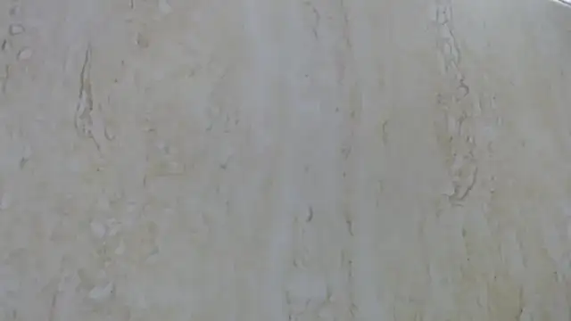 Crazy team  online show from 12.09.24