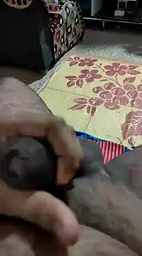 Snapshot of Swift2006 chatting on 02.11.25 Swift2006 online show from 02.11.25