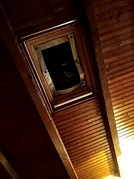 CurlyElisa online show from 02.26.26