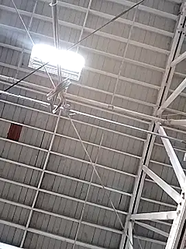 Daddy hook online show from 12.17.24