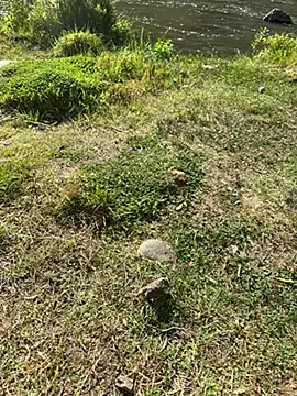 MAHKE12 online show from 09.27.25