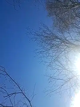 utoopia777 online show from 04.11.26