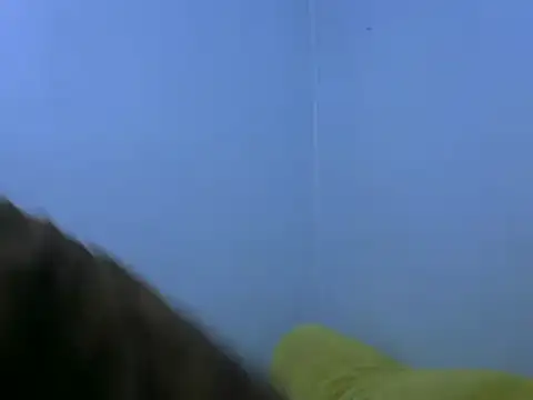 Snapshot of Forsia chatting on 02.06.25 Forsia online show from 02.06.25