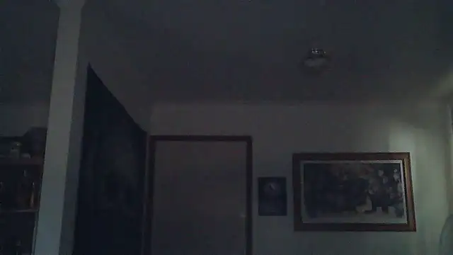 Snapshot of HOTANAL chatting on 03.11.25 HOTANAL online show from 03.11.25