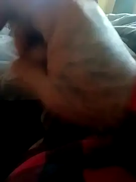 yellowwetfox online show from 11.22.25